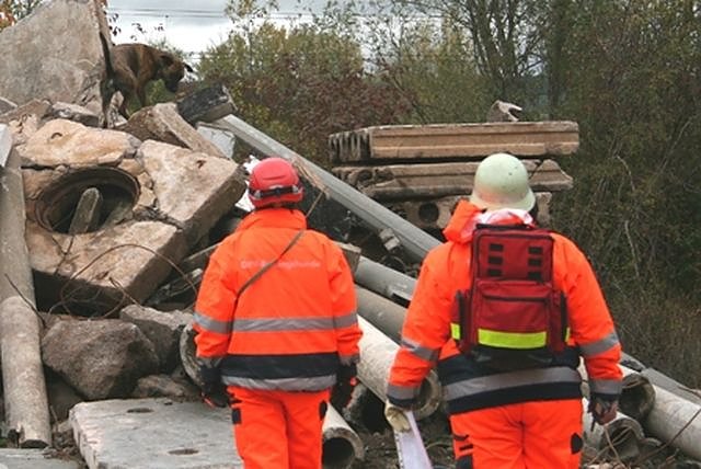 Spike im Einsatz (Foto: privat) Spike im Einsatz (Foto: privat)