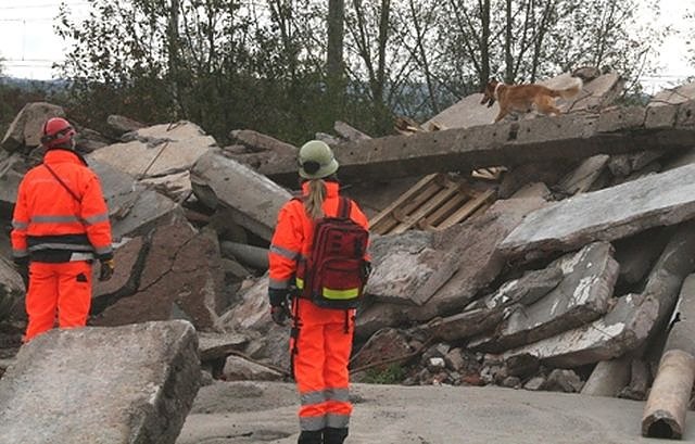 Tori im Einsatz (Foto: privat) Tori im Einsatz (Foto: privat)