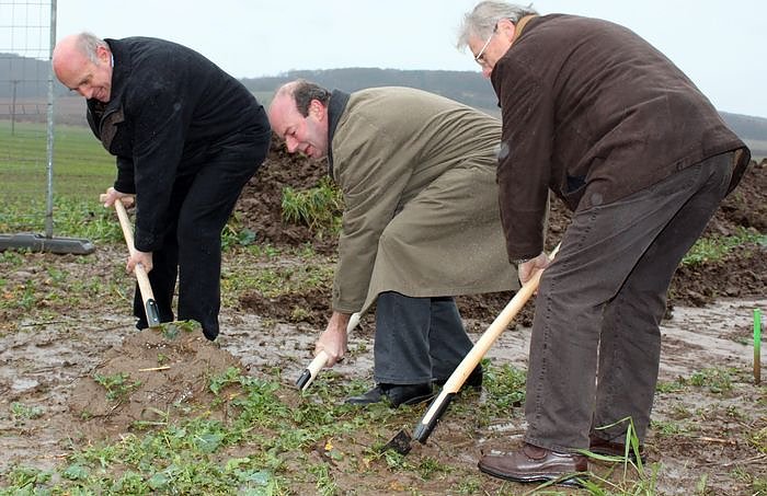 Gestochen (Foto: J. Piper)