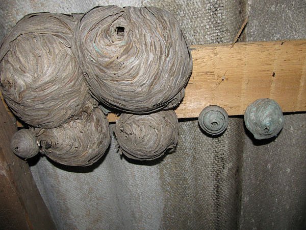 Entdeckt (Foto: P. Blei)