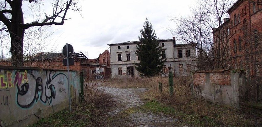 Es tut sich was entlang der Geseniusstra&szlig;e (Foto: Kurt Frank)
