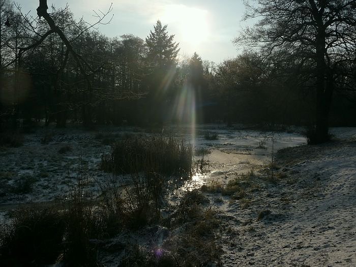 Winter im Park (Foto: nnz)