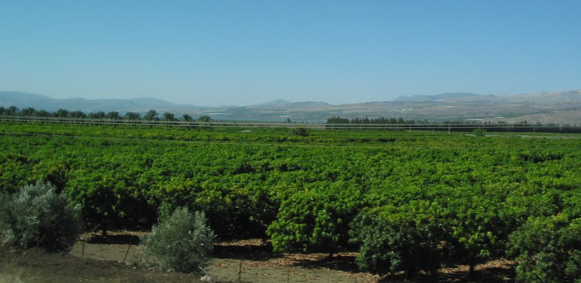 Israel (Foto: W. Jörgens) Israel (Foto: W. Jörgens)