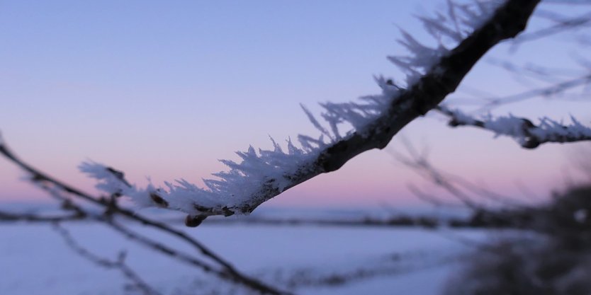 Eiskristalle (Foto: Naturpark S&uuml;dharz Kyffh&auml;user)