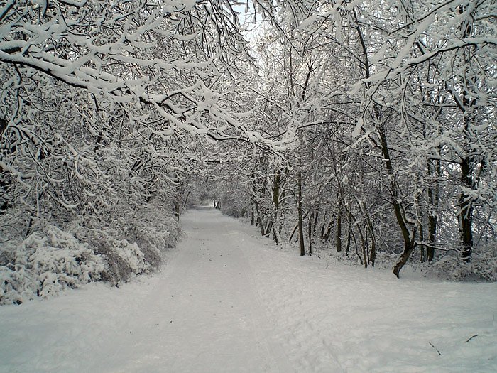 Winter in Artern (Foto: Klaus Henze)