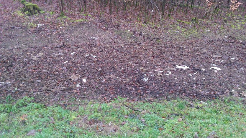 Geschredderte Leitpfosten am Stra&szlig;enrand  (Foto: privat)