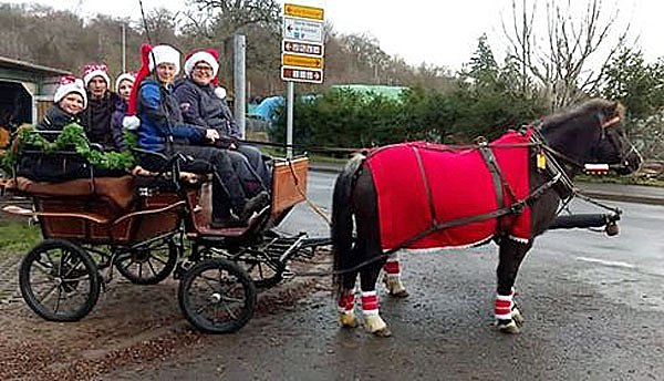Sondershäuser Obdachlose bedacht (Foto: Jeanette Reinhardt) Sondershäuser Obdachlose bedacht (Foto: Jeanette Reinhardt)