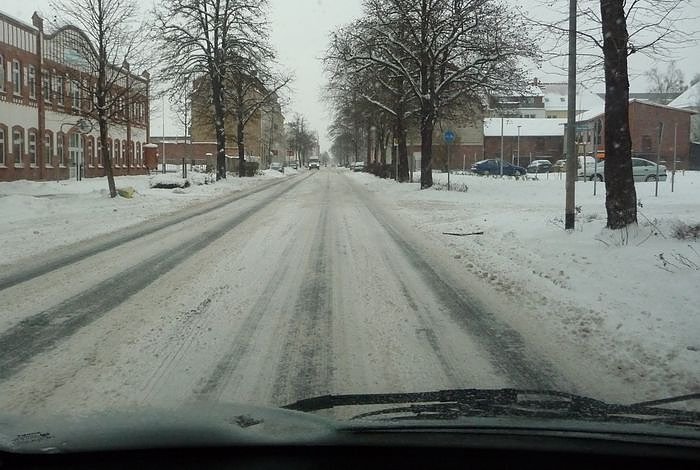 Hund (Foto: nnz) Hund (Foto: nnz)