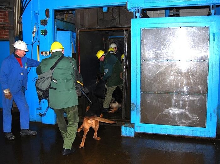 Ab in die Tiefe (Foto: T. Soszynski)