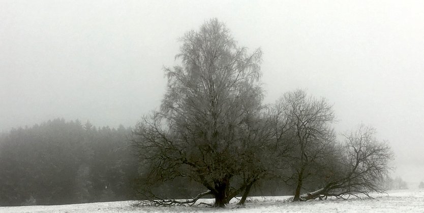 wetter (Foto: oas) wetter (Foto: oas)