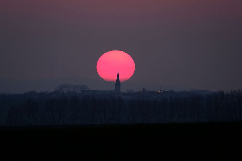 Ein seltenes Schauspiel (Foto: Peter Blei)