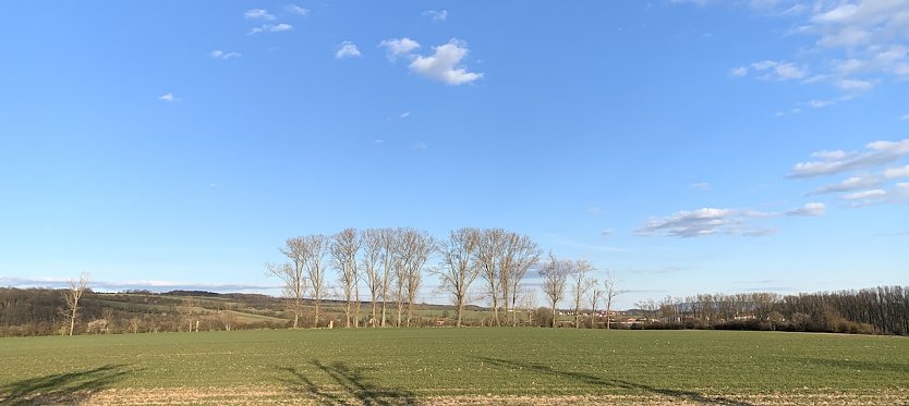 wetter (Foto: oas) wetter (Foto: oas)