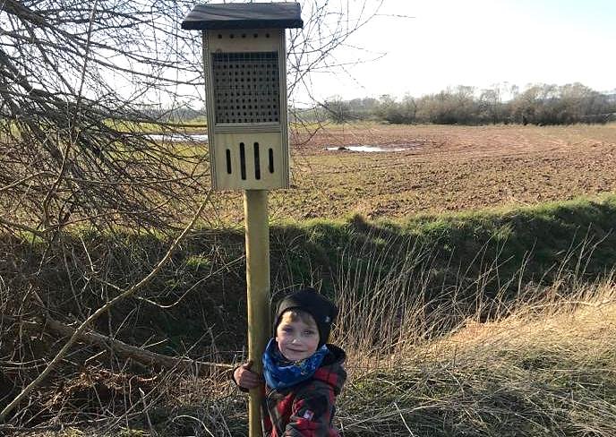 Bienenhotel (Foto: B.Juch)