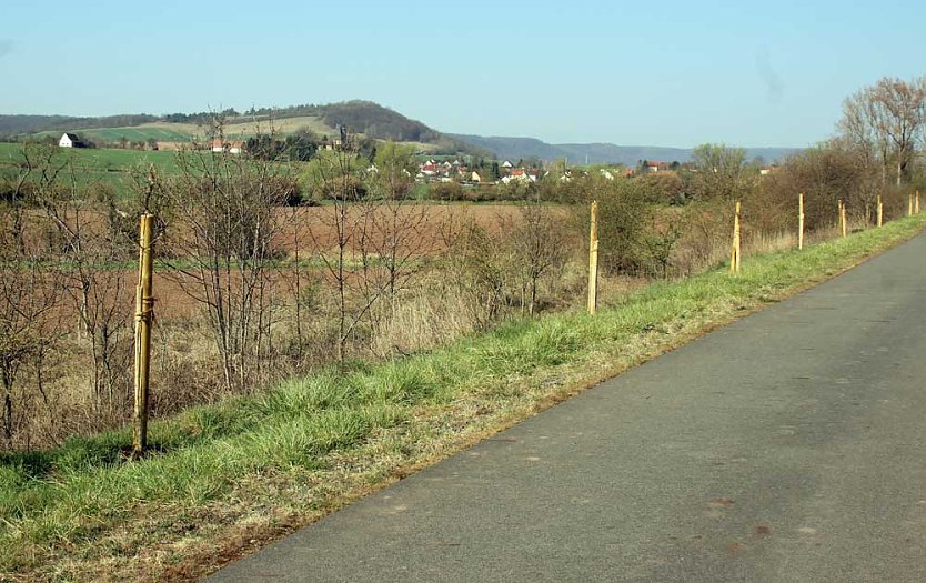 Obstb&auml;ume gepflanzt (Foto: Karl-Heinz Herrmann)