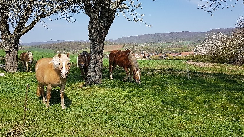 Idylle pur (Foto: C. Wilhelm)