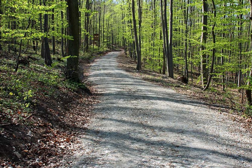Sanierter Forstweg übergeben (Foto: Karl-Heinz Herrmann) Sanierter Forstweg übergeben (Foto: Karl-Heinz Herrmann)