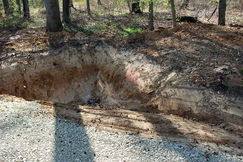 Sanierter Forstweg übergeben (Foto: Karl-Heinz Herrmann) Sanierter Forstweg übergeben (Foto: Karl-Heinz Herrmann)