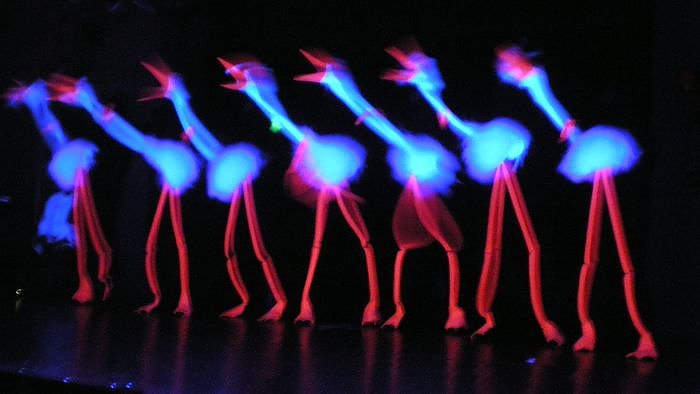 Karneval in Werther (Foto: privat)