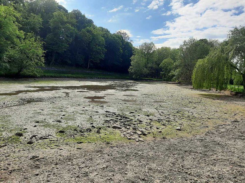 Schlossteich wird befüllt (Foto: Karl-Heinz Herrmann)