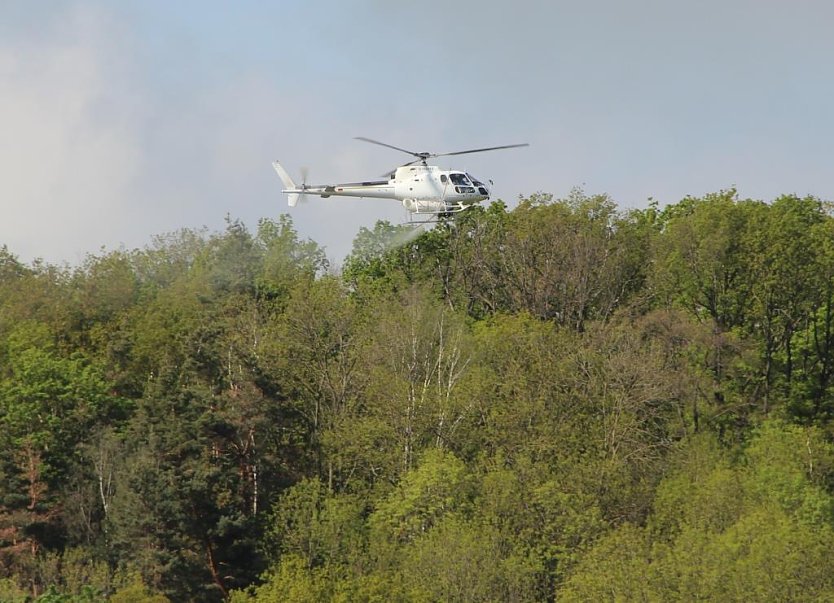 Schwammspinnerbekämpfung aus der Luft (Foto: ThüringenForst, Dr. Horst Sproßmann)