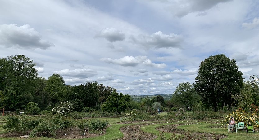 Rosengarten Sangerhausen (Foto: oas)