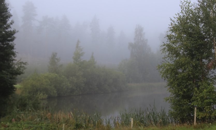 Teich in Humelstad (Schweden) (Foto: oas)