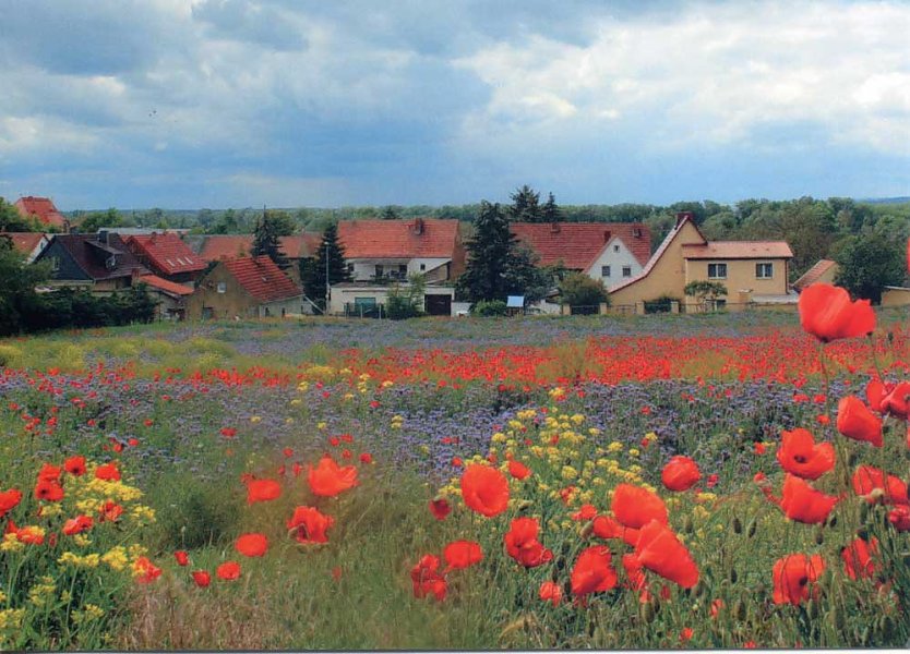 Blick vom Himmelsberg (Foto: Peter Keßler) Blick vom Himmelsberg (Foto: Peter Keßler)