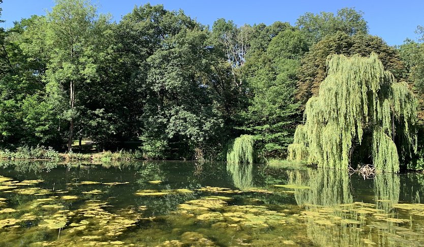 Stadtpark Nordhausen (Foto: oas)