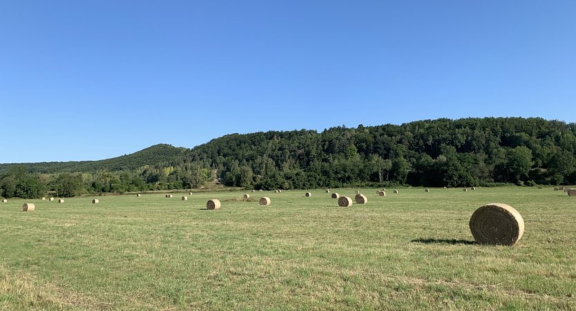 Blick auf den Kohnstein in Nordhausen  (Foto: oas)