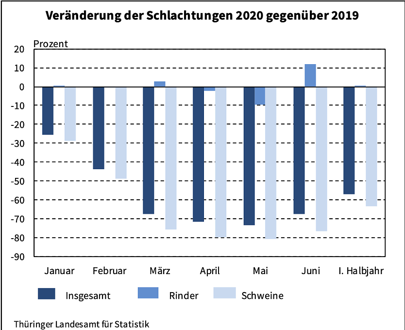 Veränderungen der Schlachtungen gegenüber 2019 (Foto: Thüringer Landesamt für Statistik) Veränderungen der Schlachtungen gegenüber 2019 (Foto: Thüringer Landesamt für Statistik)