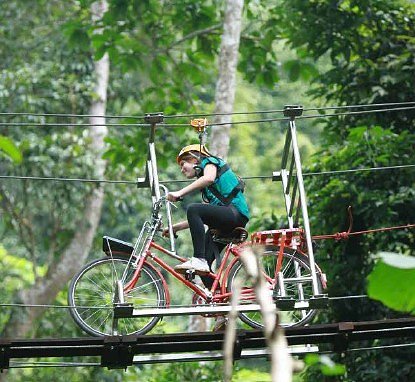 Fahrrad (Foto: Mike Schielke)