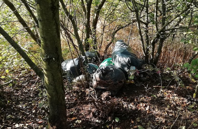 illegale M&uuml;llentsorgung an der Zeppelinbr&uuml;cke (Foto: S.Beller)
