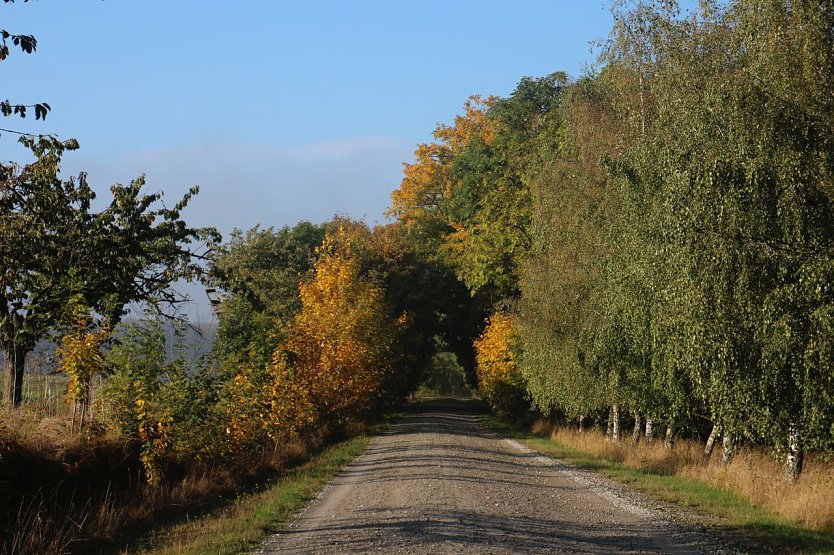 Wetterbild (Foto: agl)