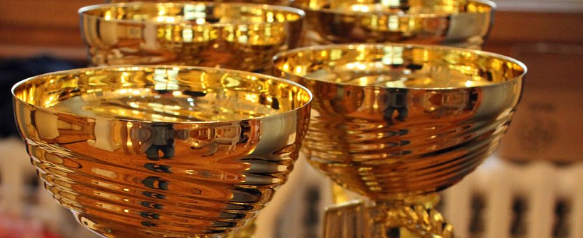 Ehrenamtstag des Sports (Foto: Karl-Heinz Herrmann)