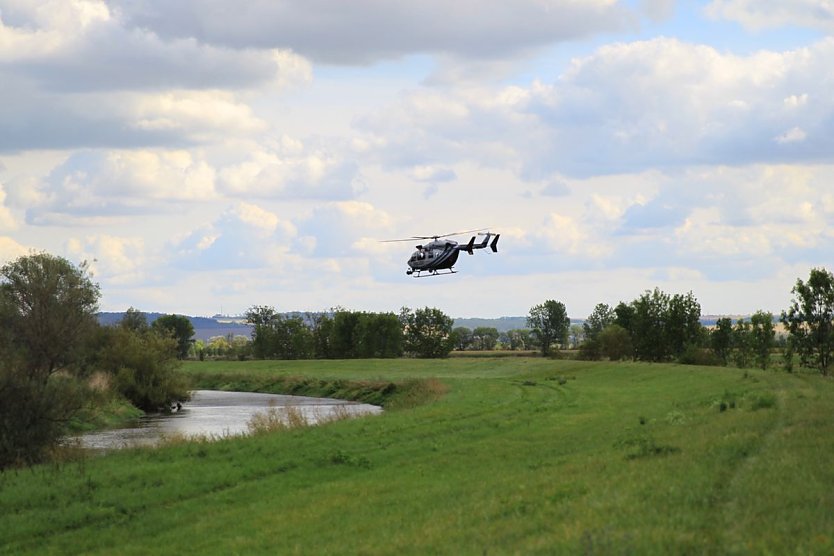Gro&szlig;wildjagd (Foto: Silvio Dietzel)