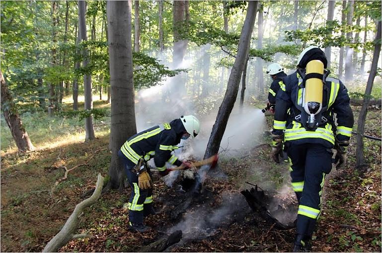 Baumbrand (Foto: Feuerwehr Heilbad Heiligenstadt)