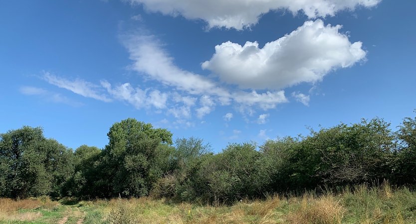 Somerlandschaft (Foto: nnz-Archiv)