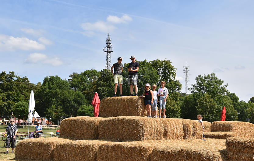 Ferien mit dem Leseclub (Foto: Marion Unverricht)