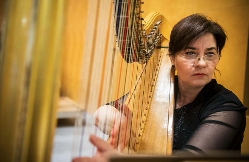 Das Loh-Orchester l&auml;dt zur "Werkstatt mit Mozart" (Foto: Theater Nordhausen/Loh-Orchester Sondershausen GmbH)