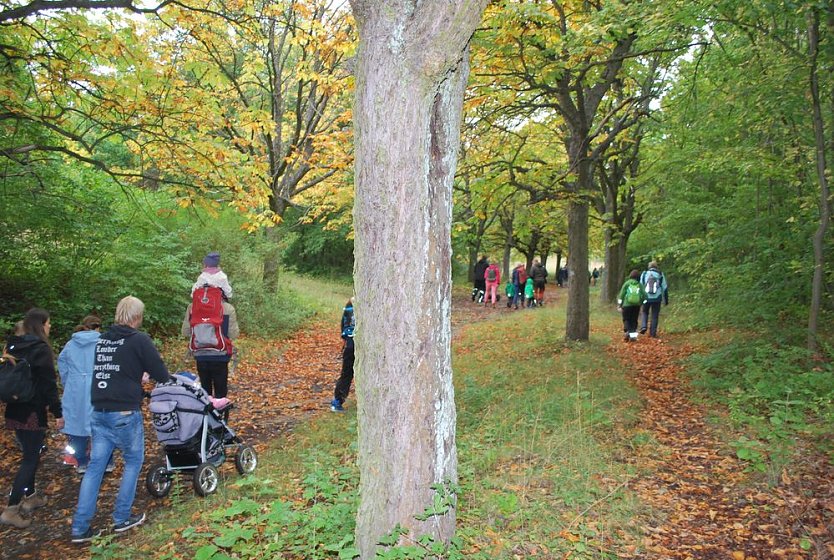 Sollen wir oder sollen wir nicht? (Foto: Katrin Milde)