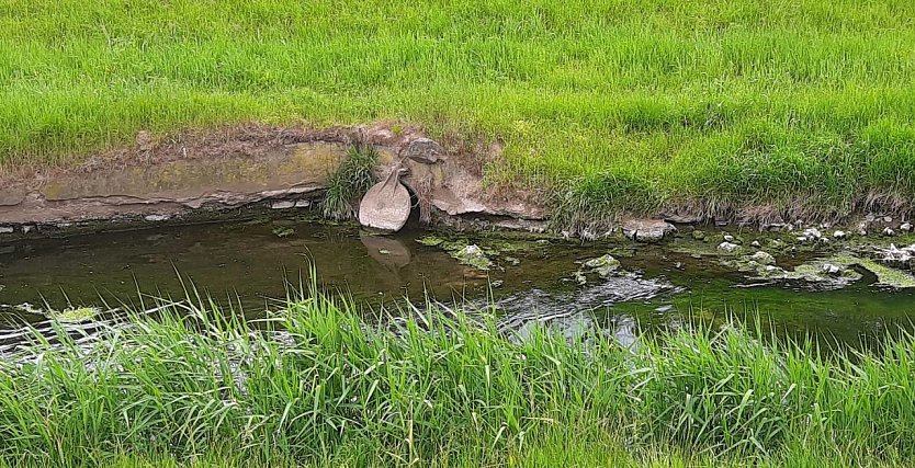 Dies und das aus Sondershausen (Foto: Karl-Heinz Herrmann)