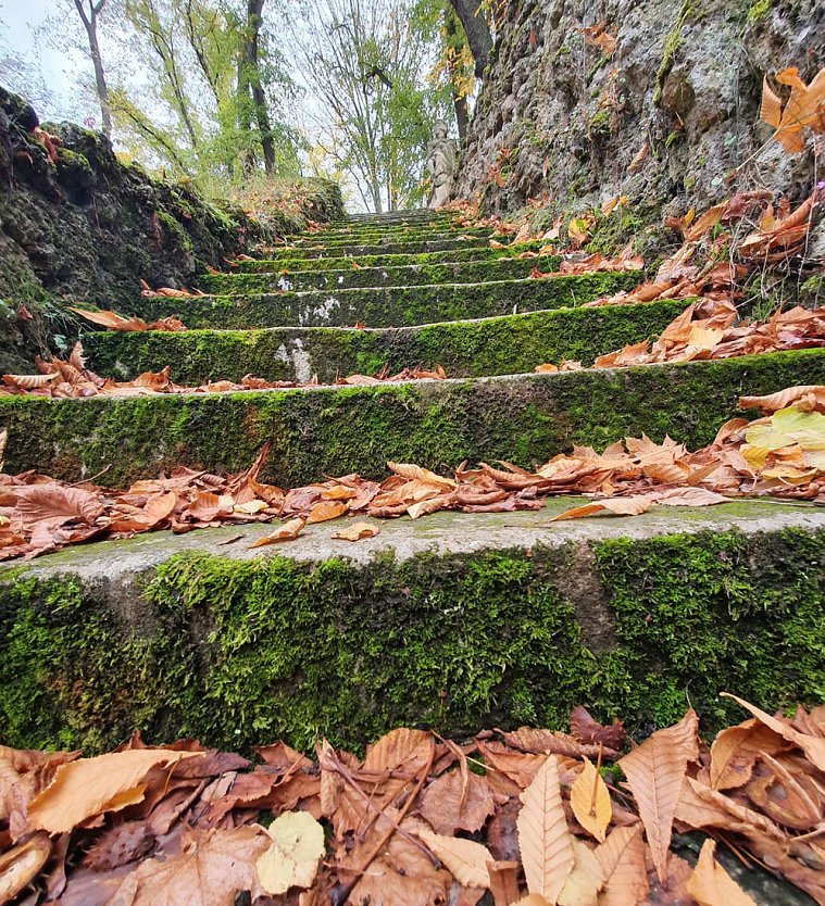 Herbstlicher Arbeitseinsatz am 24.10.2020 (Foto: Schlossparkverein Ebeleben)