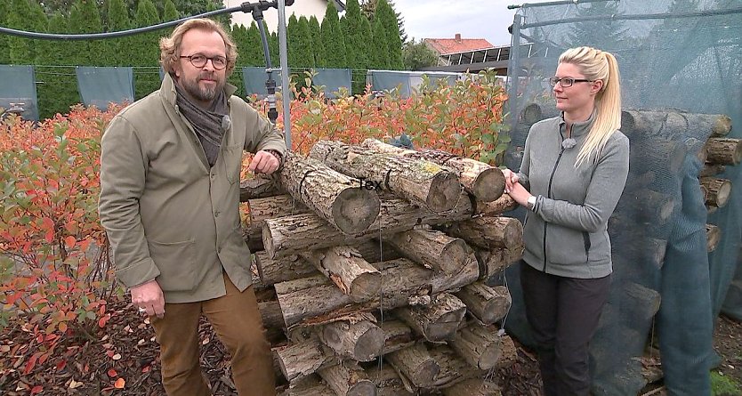 Pilzanbau im heimischen Garten (Foto: Mitteldeutscher Rundfunk)