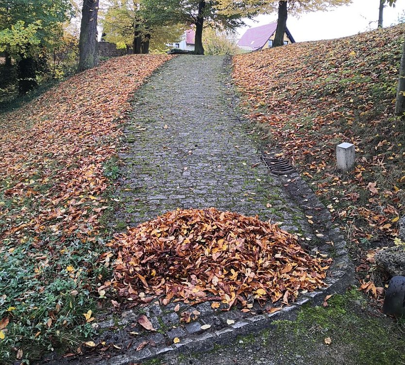 Laubfegen im Schlosspark Ebeleben (Foto: privat)