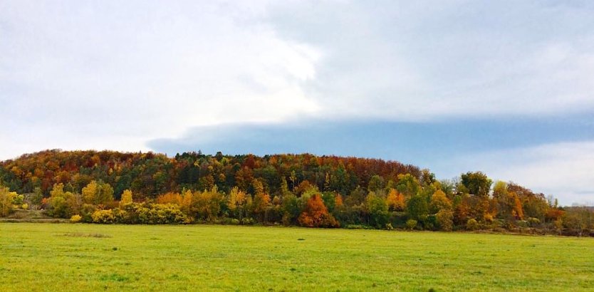 Am Kohnstein in Nordhausen/Salza (Foto: emw)