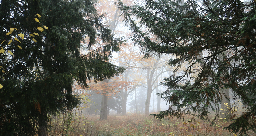 Wetterbild (Foto: agl)