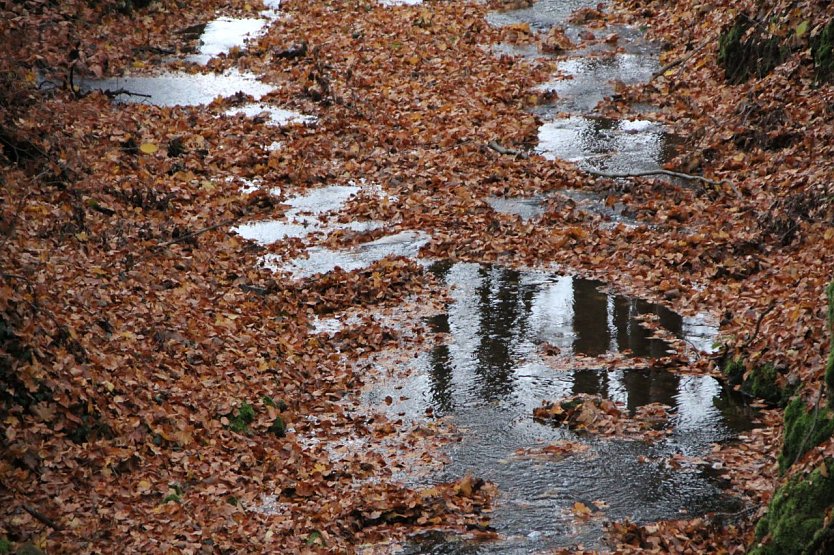 Wetterbild (Foto: agl)