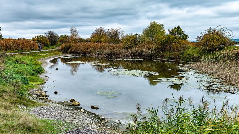 Am Helmestausee (Foto: privat)