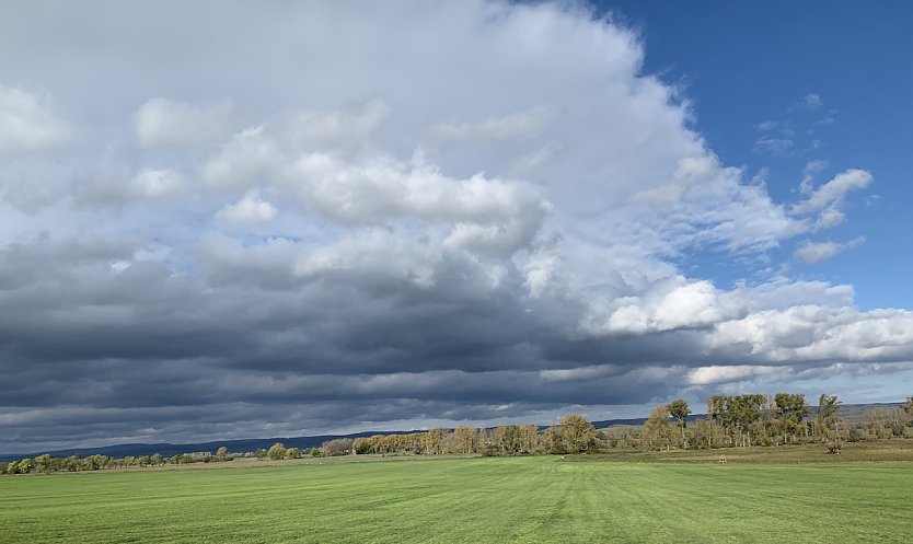 Bei Auleben (Foto: oas)