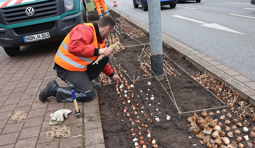 Vorbereitungen in der Uferstraße (Foto: Stadtverwaltung Nordhausen) Vorbereitungen in der Uferstraße (Foto: Stadtverwaltung Nordhausen)